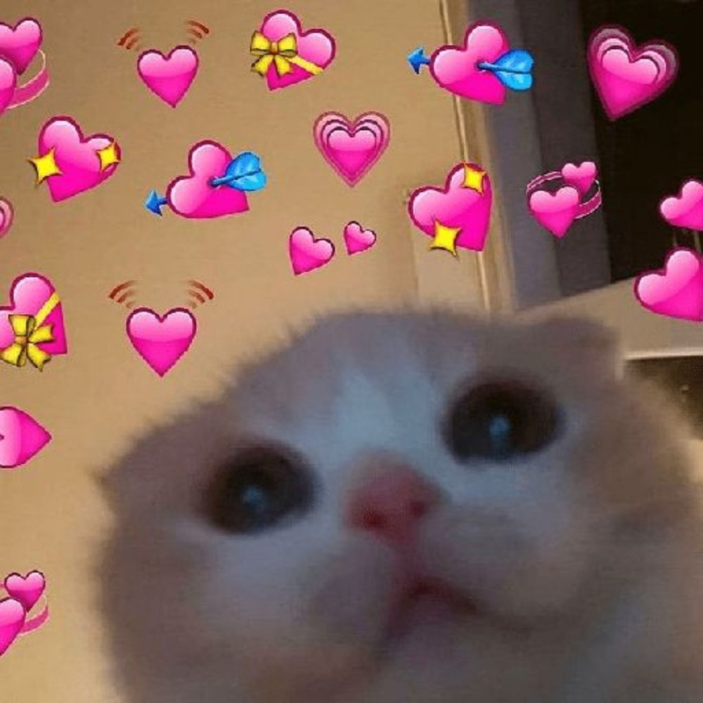 Meet your Posher, Damnhien